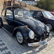 IMG_4453