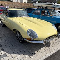 IMG_4487