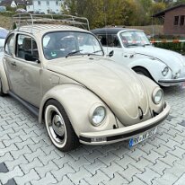 IMG_4646